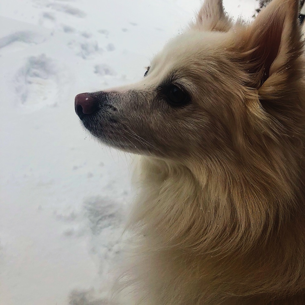 Meet your Posher, Nicole